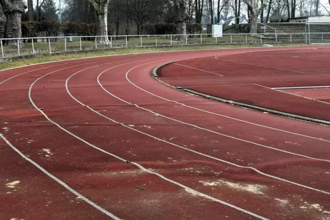 Die Kurven sind von den Wurzelschäden besonders betroffen, aber auch Feuchtigkeit macht der Laufbahn im Ostparkstadion zu schaff