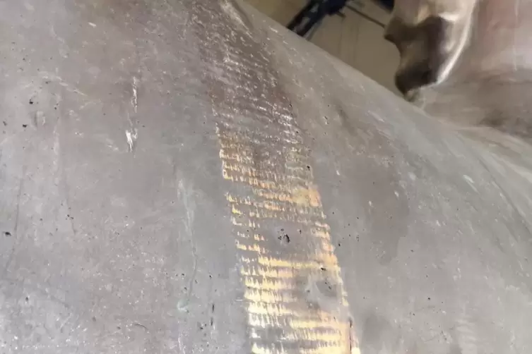 L&auml;diert: Die Spanngurte des THW haben die Patina der Bronze-Pferde besch&auml;digt. 