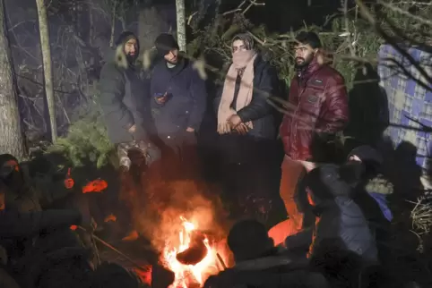 Klirrende Kälte: Die Flüchtlinge in Belarus harren im Wald aus.