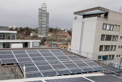 In puncto Nachhaltigkeit liegt Kaiserslautern unter den rheinland-pfälzischen Großstädten vorn. 