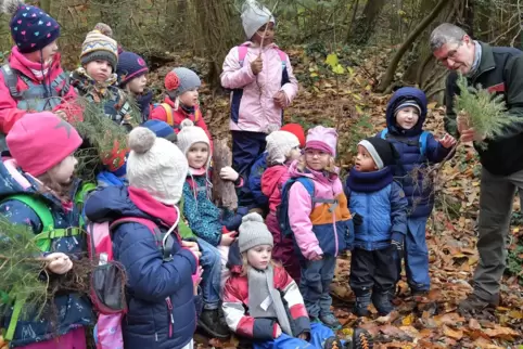 Spannender Waldspaziergang: Förster Robert Kirchner erklärt den Kindern den Aufbau von Wurzelballen. 