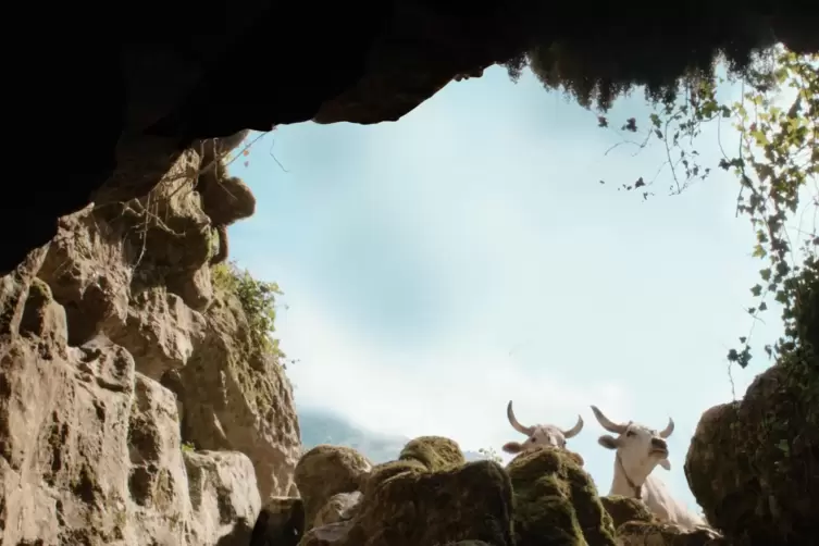 Mit dieser Kameraeinstellung beginnt der Siegerfilm „Il Buco“, der von einer Höhlenerkundung erzählt. 
