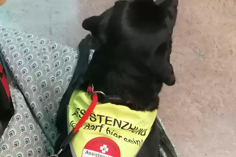 Deutlicher Hinweis darauf, dass Moses eine besondere Aufgabe hat: das neongelbe Tuch. 