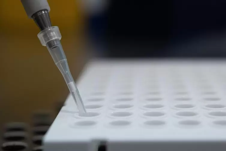 PCR-Tests werden gerade stark nachgefragt. 