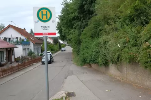Der Wiesbacher Gemeinderat soll am Donnerstag einen Auftrag zum Ausbau der Schulstraße erteilen. 