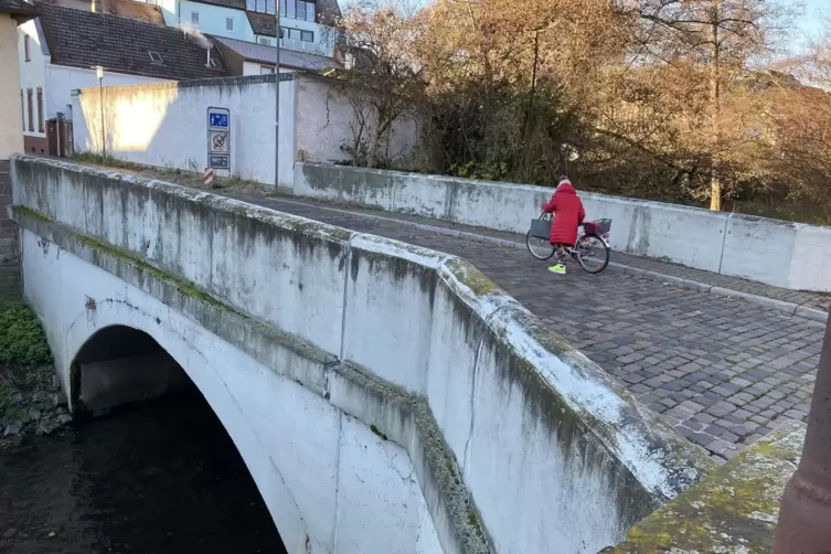 Optisch keine Erbauung: der Mittelsteg, ein St&uuml;ck Speyerbach-aufw&auml;rts der Sonnenbr&uuml;cke.