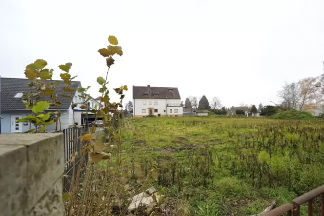 Hier wurden im Februar 35 Bäume gefällt: Das Gelände, auf dem der Wohnpark entstehen soll. Hier wurden im Februar 35 Bäume gefällt: Das Gelände, auf dem der Wohnpark entstehen soll.