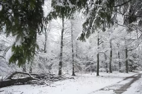 In der Pfalz soll es am Wochenende schneien− und glatt werden.