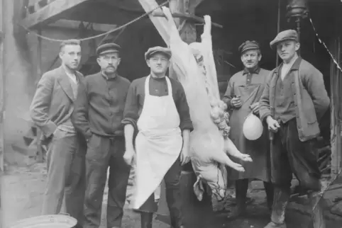 Nichts für Vegetarier: Szene mit geschlachtetem Schwein.