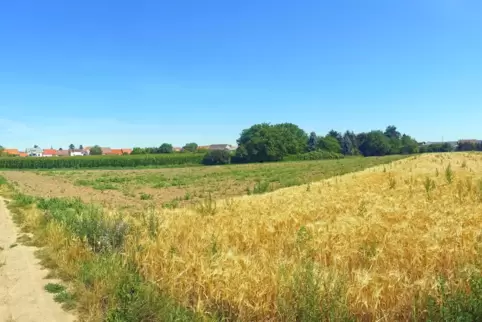 Ob hier jemals Wohnhäuser entstehen? Das geplante Neubaugebiet ist rechtlich äußerst knifflig. 
