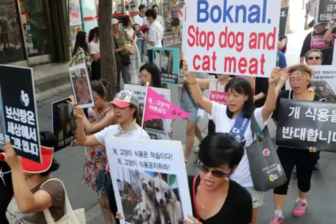 Bereits seit Jahren regt sich in Südkorea Protest gegen den Verzehr von Hundefleisch. 