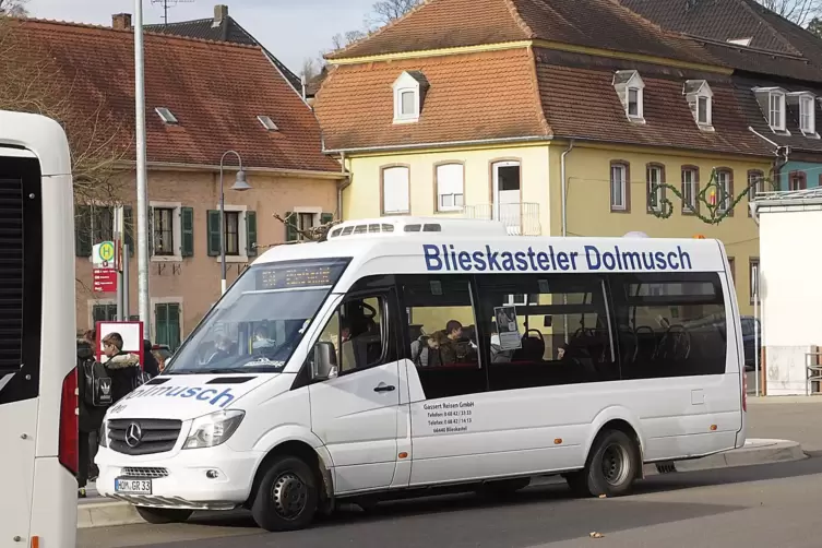 Für Einöd werden Systeme wie der Blieskasteler „Dolmusch“ (Foto) von dem Nahverkehrsexperten Hübner nicht empfohlen.