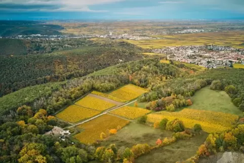 Beste Aussichten: das Weingut thront hoch über Wachenheim. 