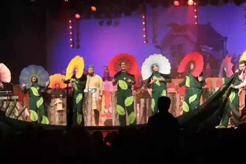 Das Krautkopfteam der Bikage bei einer Prunksitzung Anfang 2020. 