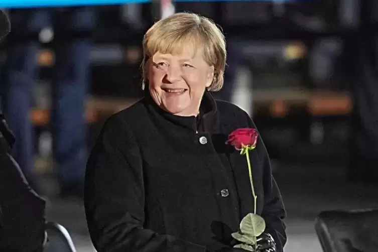 Rote Rose für Merkel