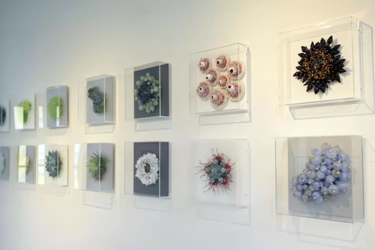 &bdquo;Seenelke&ldquo; und &bdquo;Nacktkiemer&ldquo;: Ausstellungsst&uuml;cke von Lea Lenhart in der Schlossgalerie. 