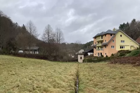 Die Starkregenexperten empfehlen im Finsterbachtal einen Damm, um die Wiesen als Rückstaufläche zu nutzen, falls bei einem Gewit