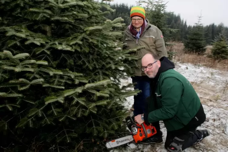 René und Birgit Kayser kultivieren Weihnachtsbäume auf ihrem Baumgrundstück auf dem Herzerberg.