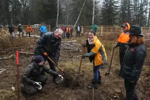 Ab an die Spaten (von links): Sophie Nöcker (Forst), Friedrich Beck (Rotary Club), Bärbel Schmitt (Lions Club), Forstwirtin Yvon