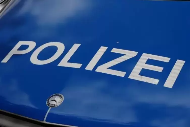 blaulicht_polizei_polizeiauto_foto_merkel (5)