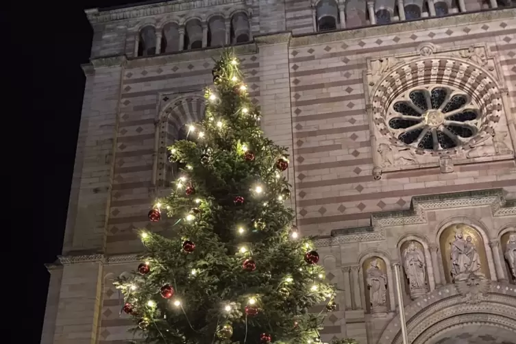 Weihnachtsbaum: Leuchtet jetzt vor dem Dom.