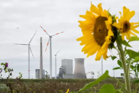 58 Prozent der auf ihre Klimaschutzaktivitäten untersuchten Unternehmen haben eine schlechte Bewertung erhalten. 
