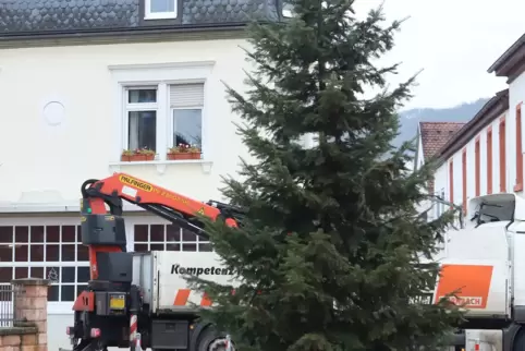 Auch auf dem Ludwigsplatz steht jetzt ein großer Weihnachstbaum.