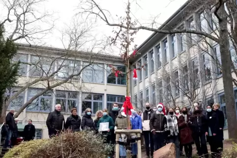 Schon mehrere Meter hoch und geschmückt: die Beuys-Eiche des Rittersberg-Gymnasiums. 