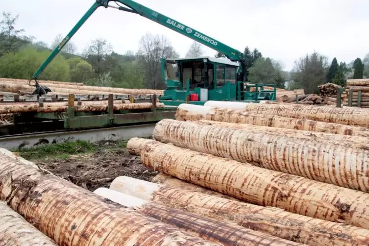 Sägewerksbetriebe fordern Schadenersatz, weil das Land in der Vergangenheit ein Holzvermarktungs-Kartell organisiert habe. Dadur