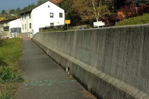 Der jetzige Radweg zwischen Imsweiler und Schweisweiler ist vielen Radfahrern zu schmal. 