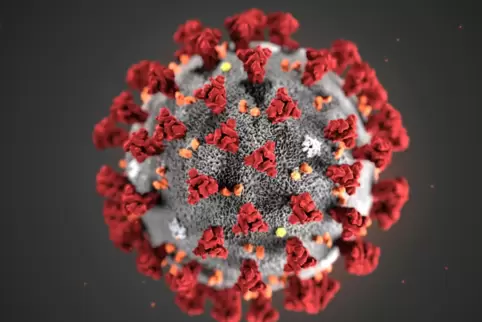 Das Virus im Modell.