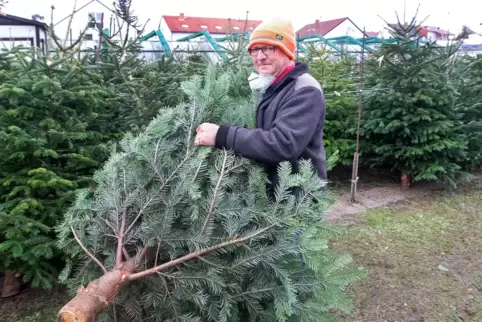 Christbaum-Experte in der Paul-Egell-Straße: Ingo Nothhelfer.
