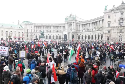 Die Proteste in Wien richten sich vor allem gegen die geplante Impfpflicht. 