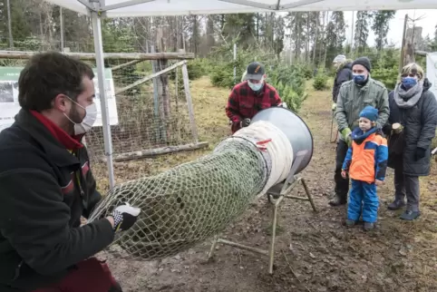 Fündig geworden: Birgit und Axel Steil haben ihren Weihnachtsbaum selbst ausgesucht und abgesägt, Enkel Benjamin half natürlich 