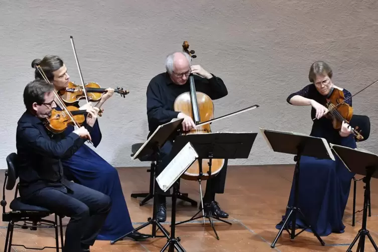Das Bartholdy Quintett begeisterte im Freinsheimer Von-Busch-Hof das Publikum. 