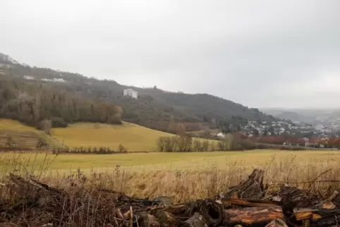 Im Rockenhausener Westen schließt sich der Neuberg an die Straße „Am Pfingstborn“ (rechter Bildrand) an. Die dort verlaufende Kr Im Rockenhausener Westen schließt sich der Neuberg an die Straße „Am Pfingstborn“ (rechter Bildrand) an. Die dort verlaufende Kr
