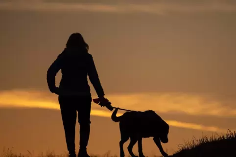 Müssen tiefer in die Tasche greifen: Hundebesitzer in Schwegenheim.