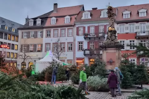 Mit einer Aktion will man in Heidelberg verhindern, dass die Tannenbäume einfach entsorgt werden. 