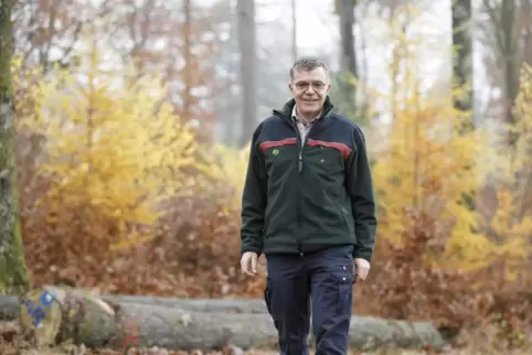 Förster Hans-Peter Rauch hat in seinem Revier unter anderem überalterte Bestände verjüngt. 