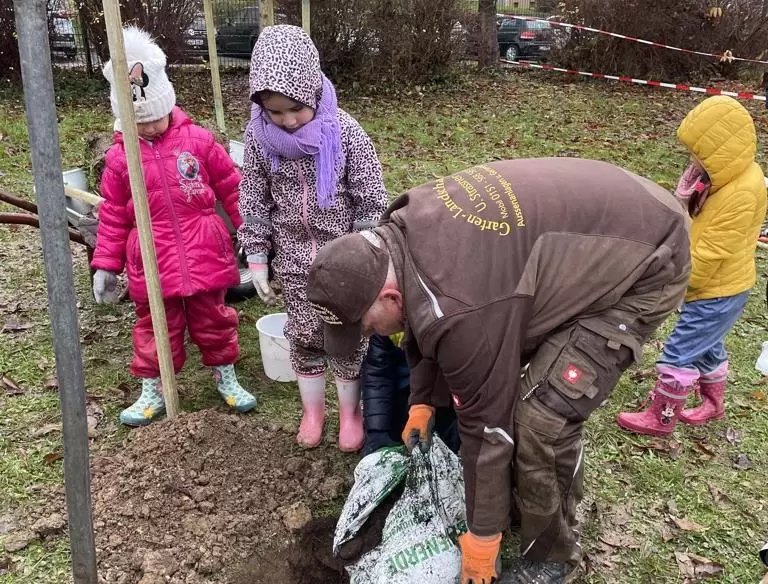 Garten- und Landschaftsbauer Uwe Strassner pflanzt mit den Kindern drei Bäume.