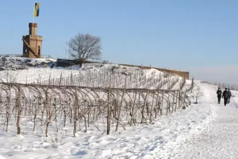 In diesem Jahr wird es wohl keinen Weihnachtsspaziergang im Schnee geben.
