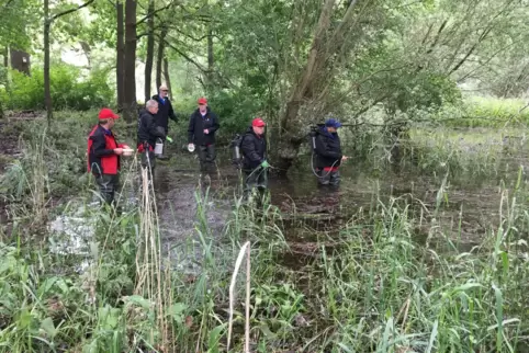 Im Auwald: Fast 900 Stunden waren die Schnakenbekämpfer der Kabs in der Verbandsgemeinde Römerberg-Dudenhofen 2021 im Einsatz. 