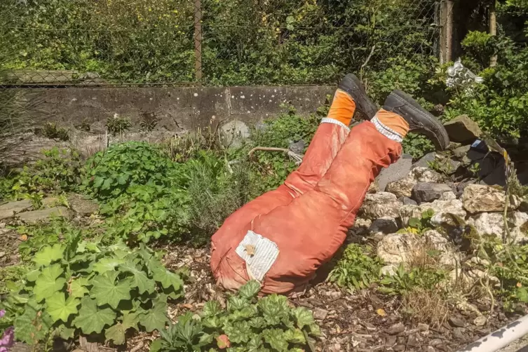 Kopfüber ins neue Gartenjahr: Es wird Zeit, sich Gedanken um die Bepflanzung zu machen. 