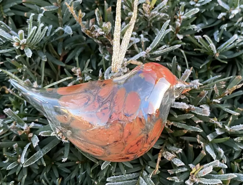 Draußen gibt es ja leider fast keine mehr, deshalb tobt in unserem Baum eine Schar von Vögeln umher. Die hatte meine Mutter vor