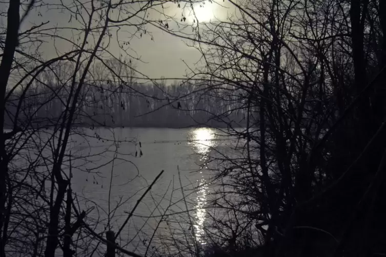 Die Diskussion geht weiter: Was soll am Silbersee erlaubt und was verboten sein?