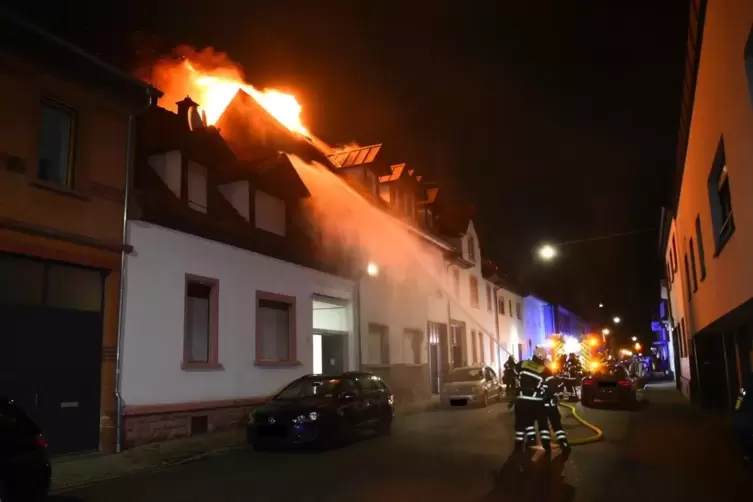 Feuerwehren aus Eppelheim, Plankstadt und Schwetzingen waren im Einsatz.