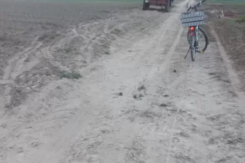 Verschmutzter Radweg bei Hatzenbühl.