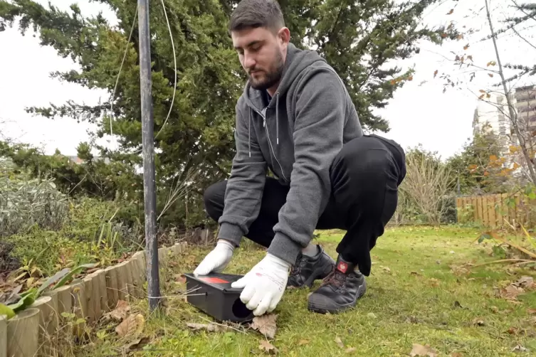Fabian Vettel sichert eine Box mit Rattenk&ouml;der. 