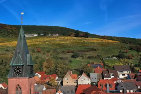 Blick über St. Martin.