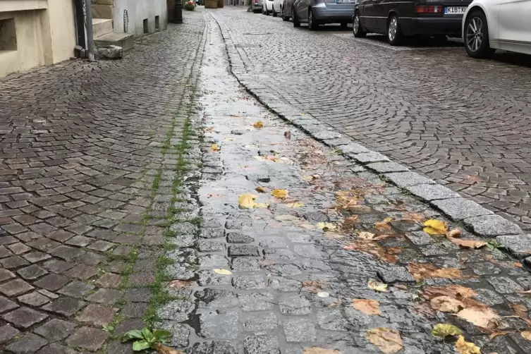 Werden vorerst zur&uuml;ckgestellt: die geplanten Querungen der Wasserrinne in der Luitpoldstra&szlig;e. 